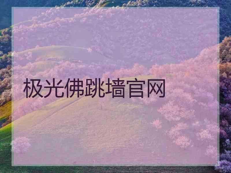 极光佛跳墙官网