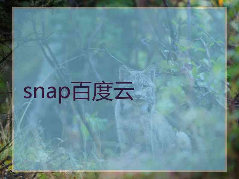 snap百度云