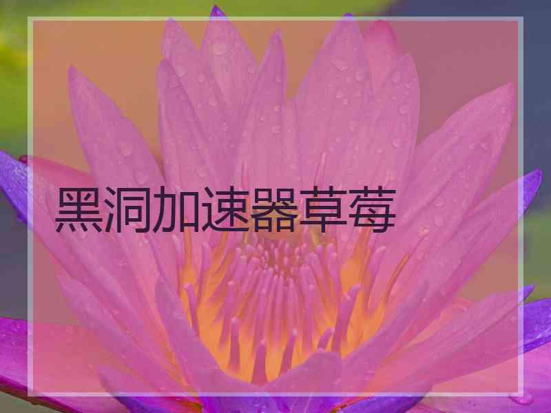 黑洞加速器草莓