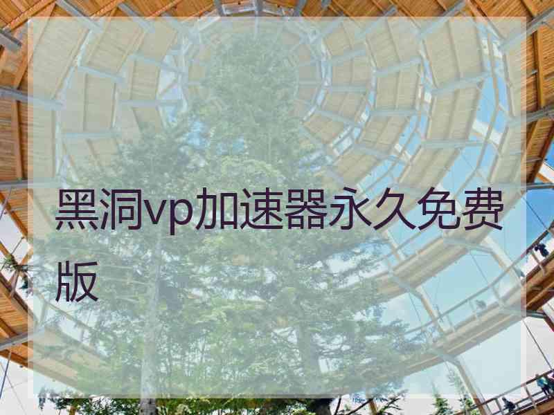 黑洞vp加速器永久免费版