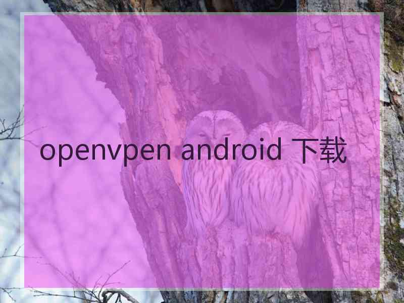 openvpen android 下载