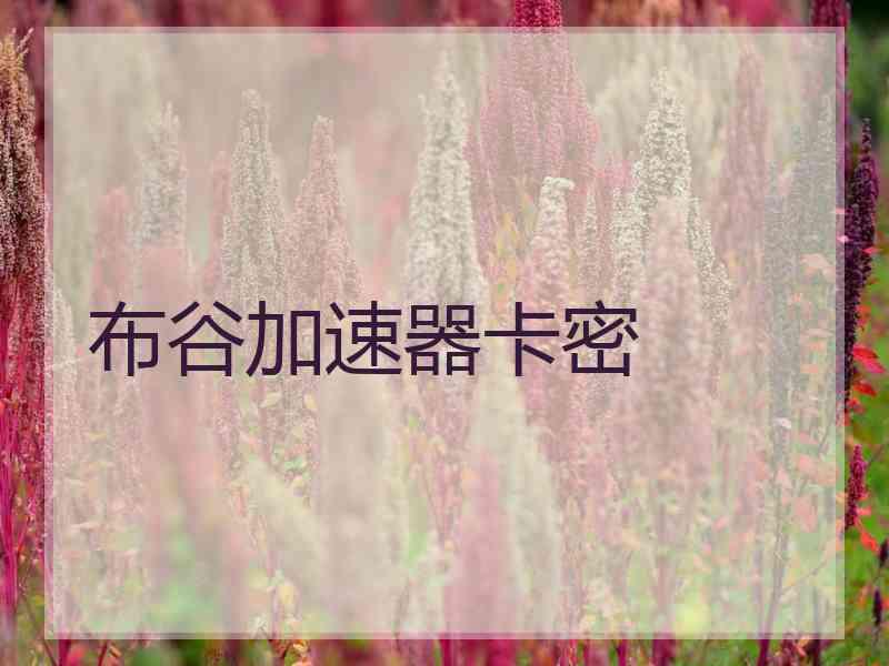 布谷加速器卡密