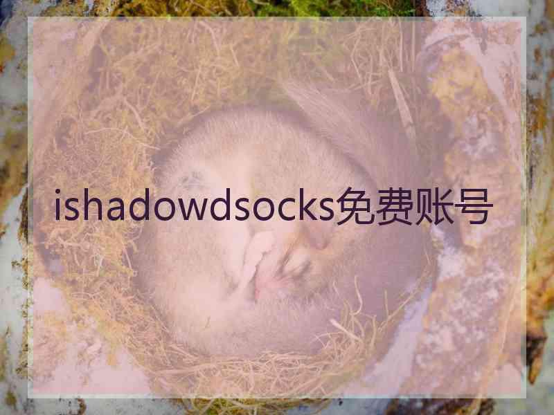 ishadowdsocks免费账号