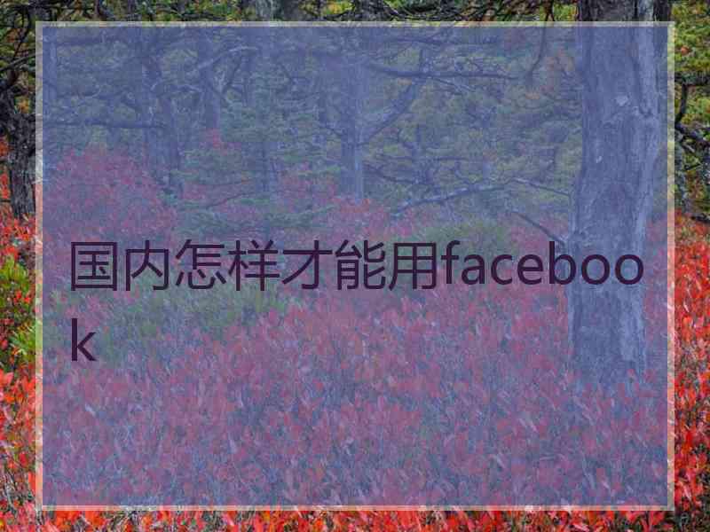 国内怎样才能用facebook