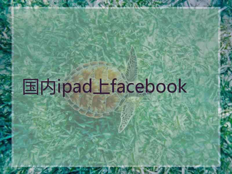 国内ipad上facebook