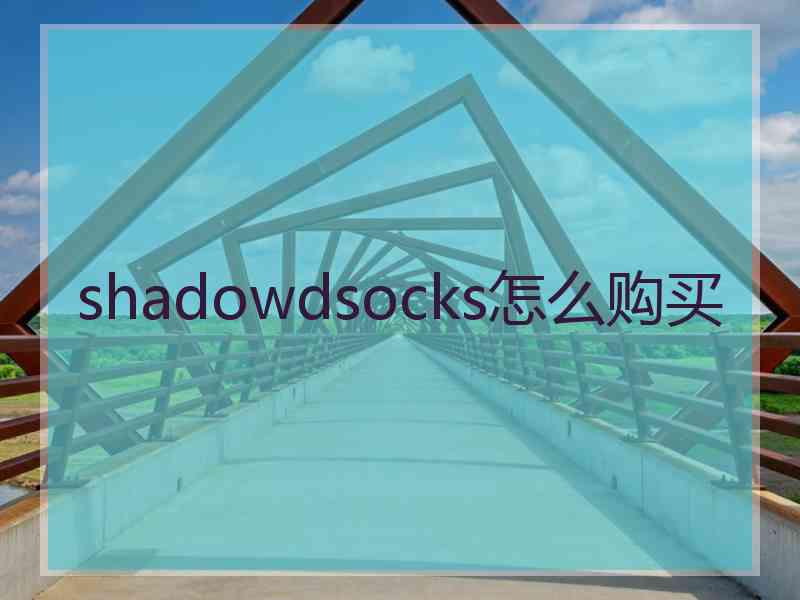 shadowdsocks怎么购买