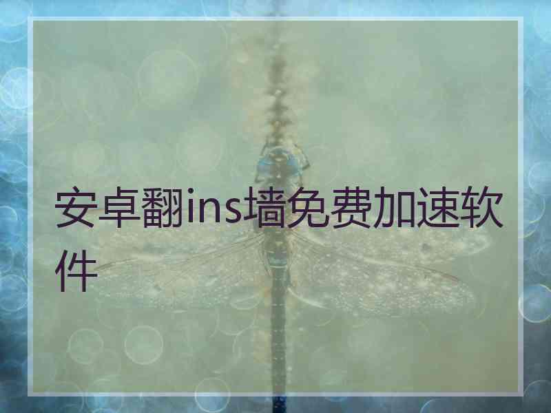 安卓翻ins墙免费加速软件