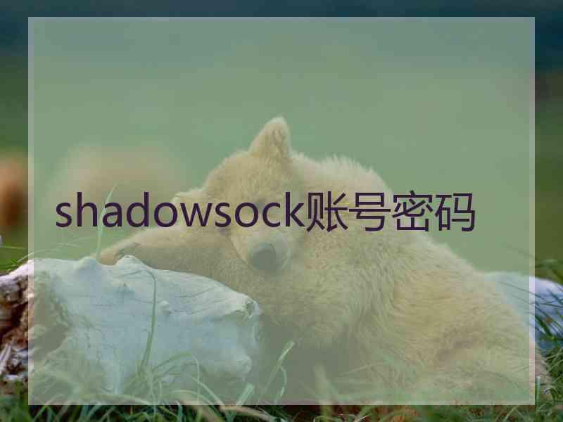 shadowsock账号密码