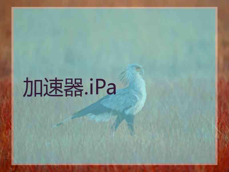 加速器.iPa