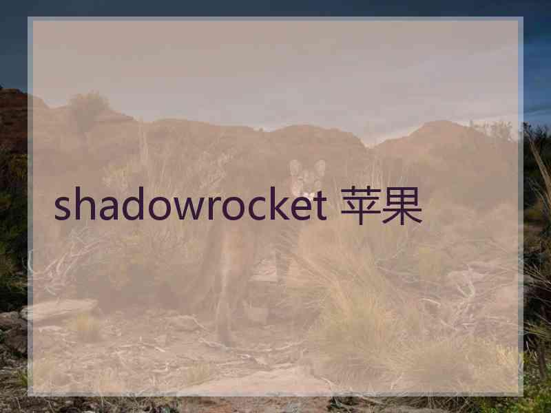 shadowrocket 苹果