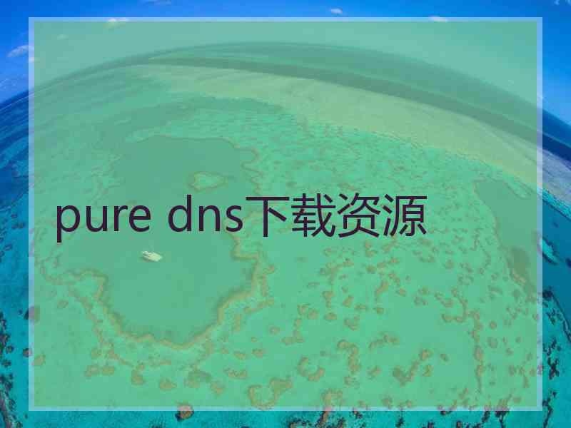 pure dns下载资源