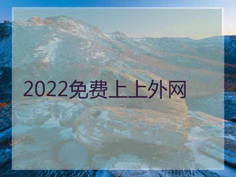 2022免费上上外网