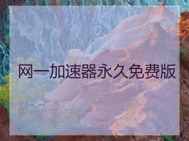 网一加速器永久免费版