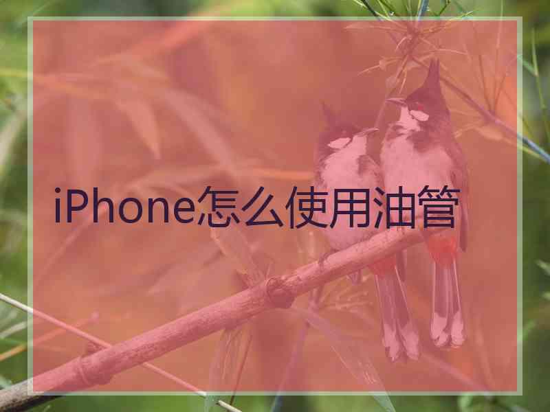 iPhone怎么使用油管