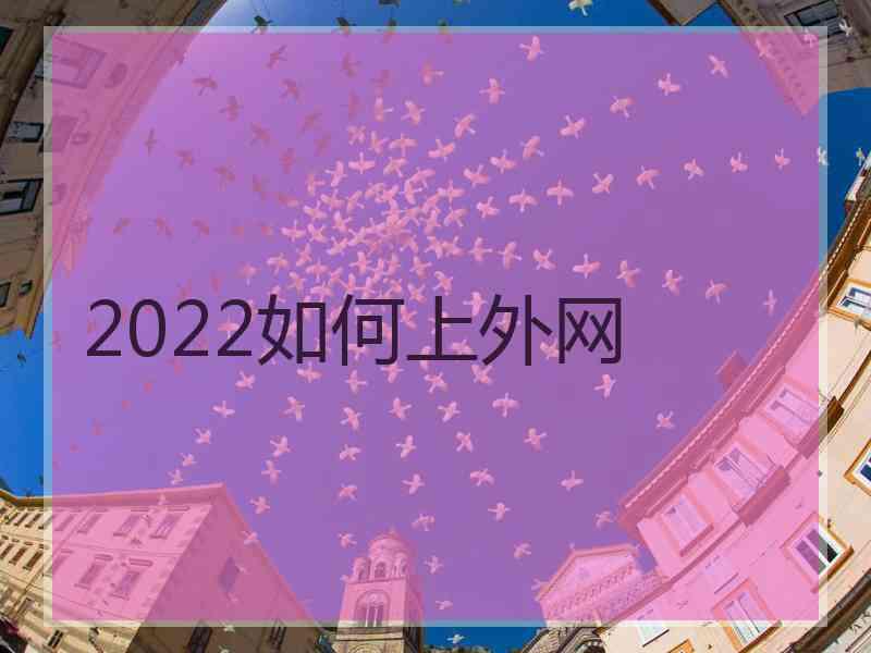 2022如何上外网