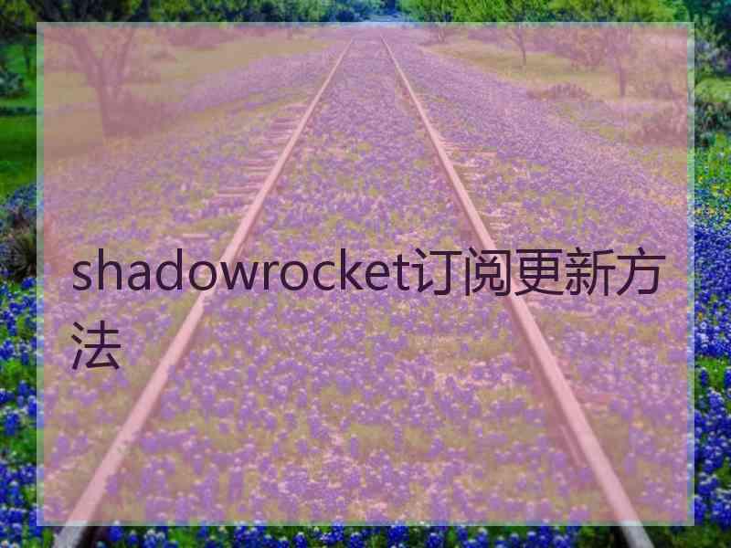 shadowrocket订阅更新方法