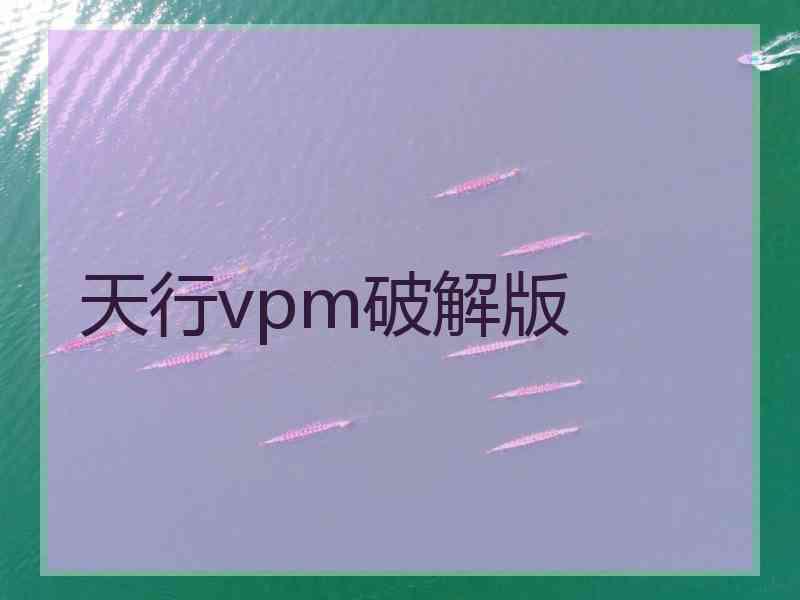 天行vpm破解版