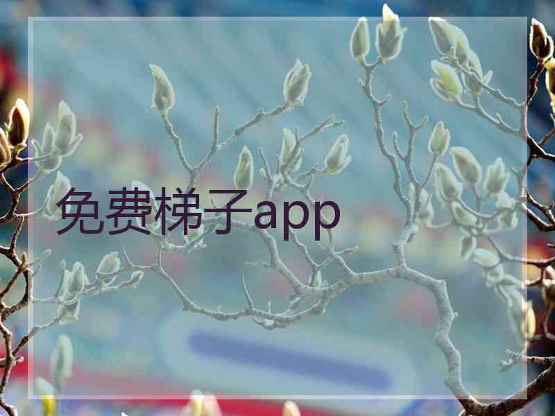 免费梯子app