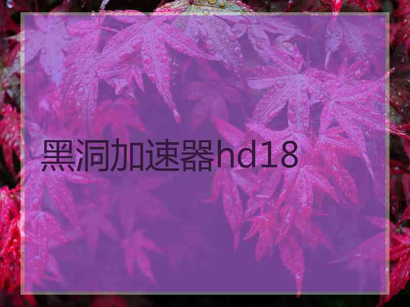 黑洞加速器hd18