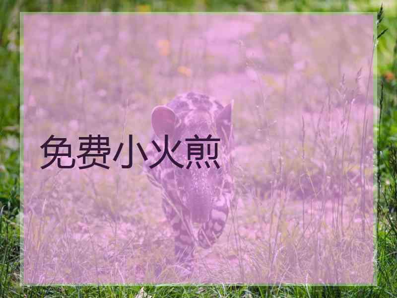 免费小火煎