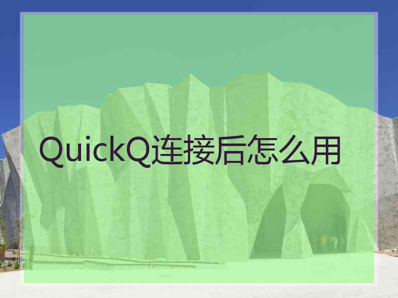 QuickQ连接后怎么用