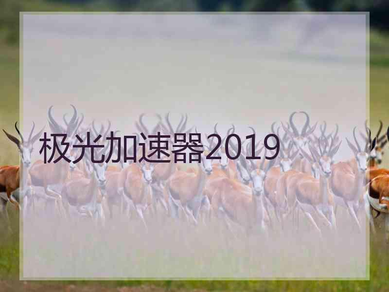 极光加速器2019