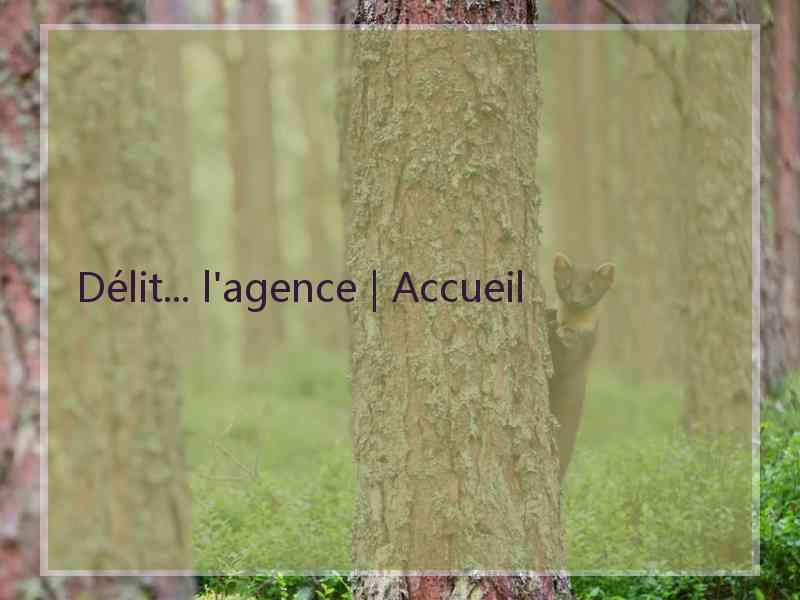 Délit... l'agence | Accueil