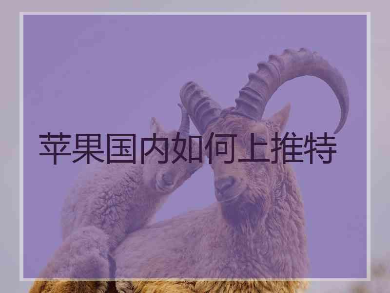 苹果国内如何上推特