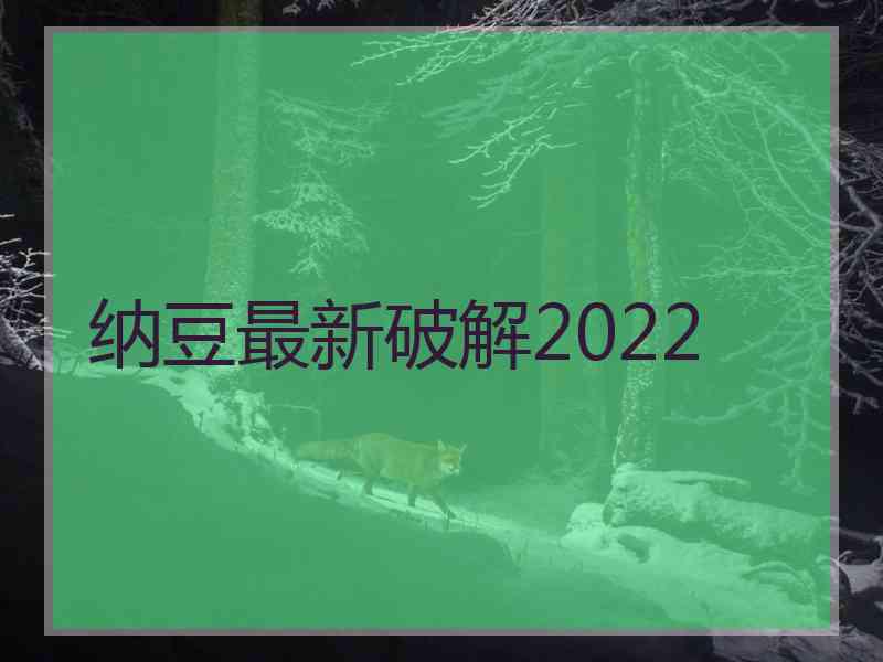 纳豆最新破解2022