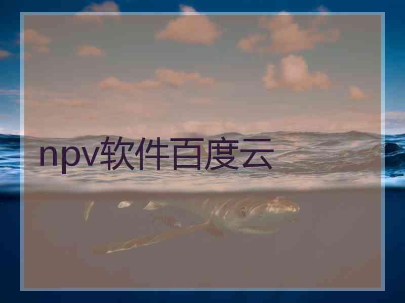 npv软件百度云