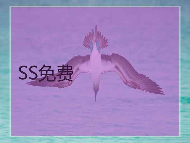 SS免费