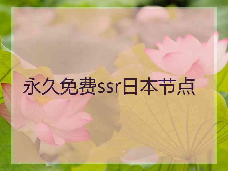 永久免费ssr日本节点