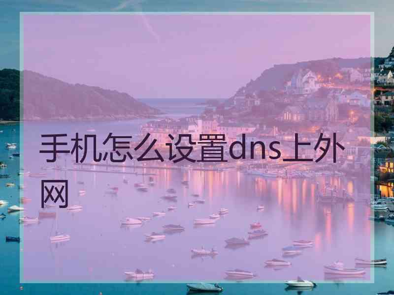 手机怎么设置dns上外网