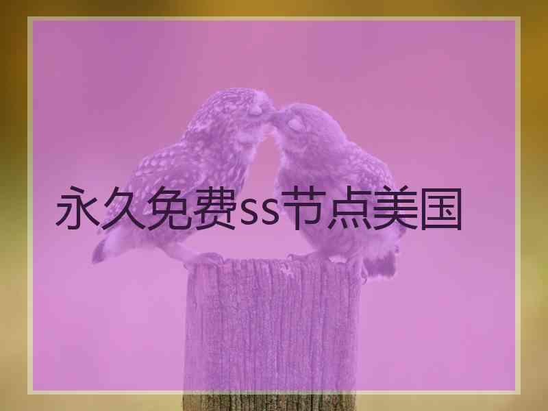 永久免费ss节点美国