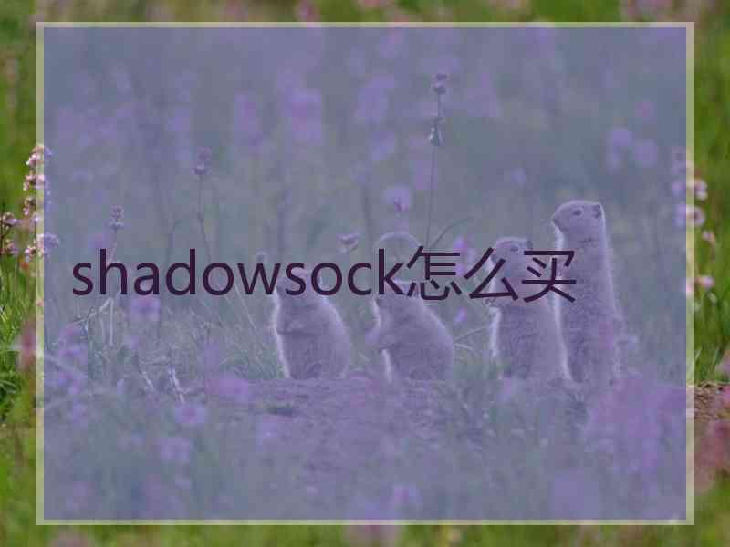 shadowsock怎么买