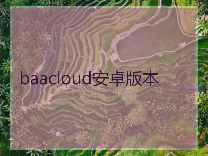 baacloud安卓版本