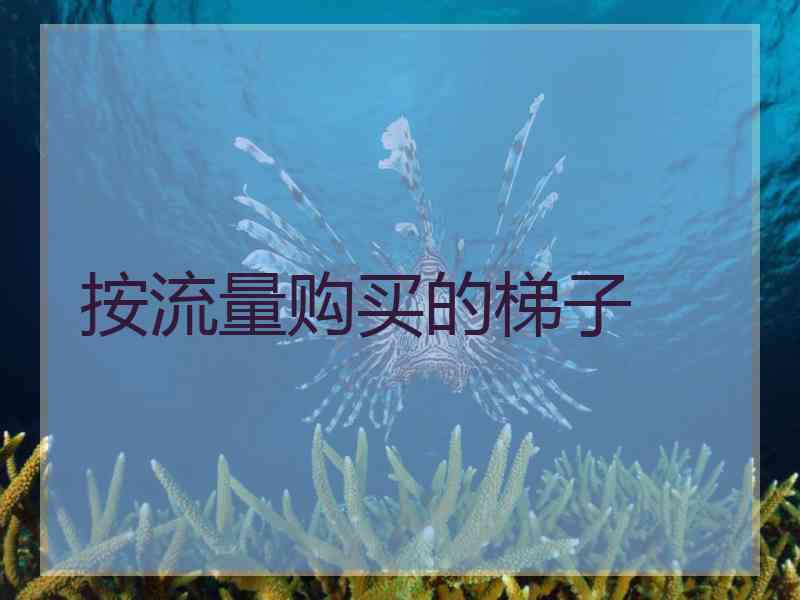 按流量购买的梯子