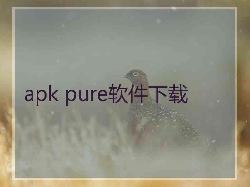 apk pure软件下载