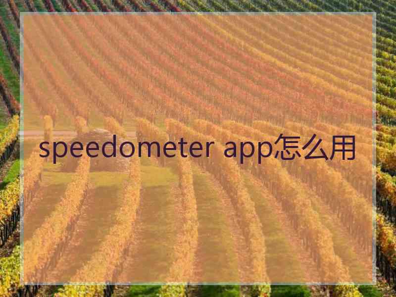 speedometer app怎么用