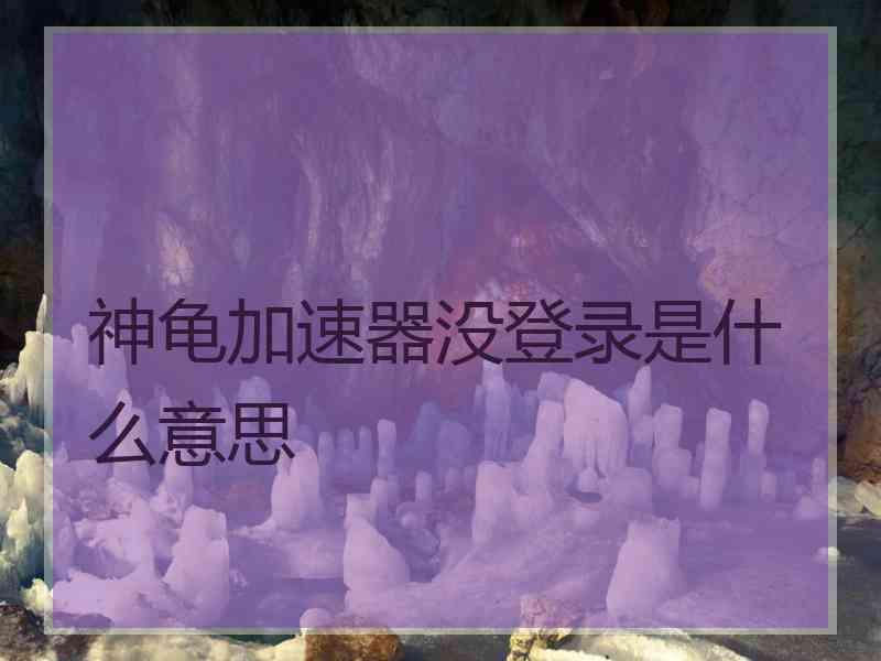 神龟加速器没登录是什么意思