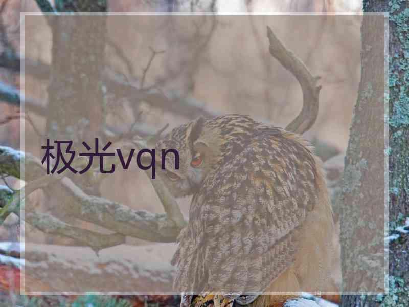 极光vqn