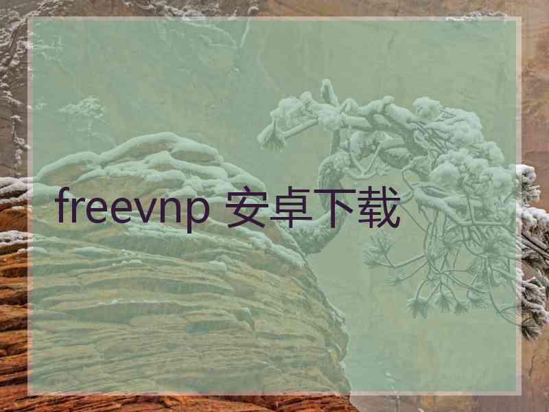 freevnp 安卓下载