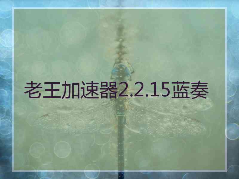 老王加速器2.2.15蓝奏