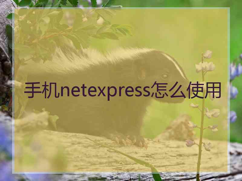 手机netexpress怎么使用