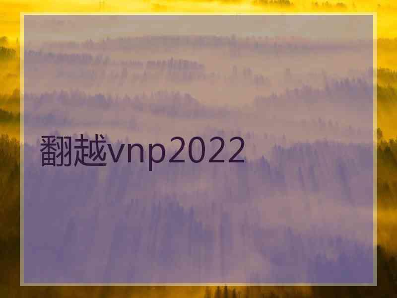 翻越vnp2022