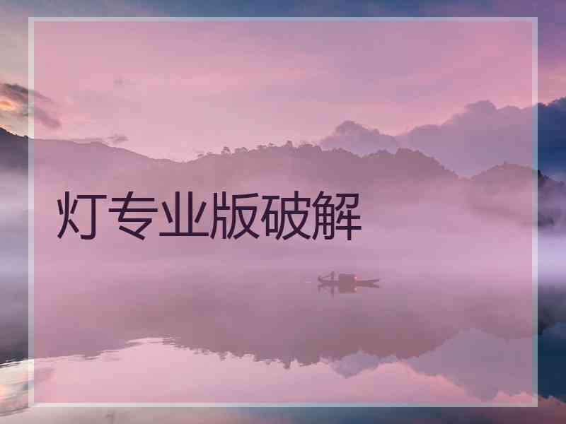 灯专业版破解