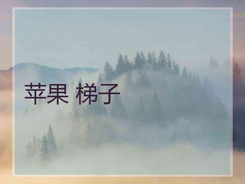 苹果 梯子