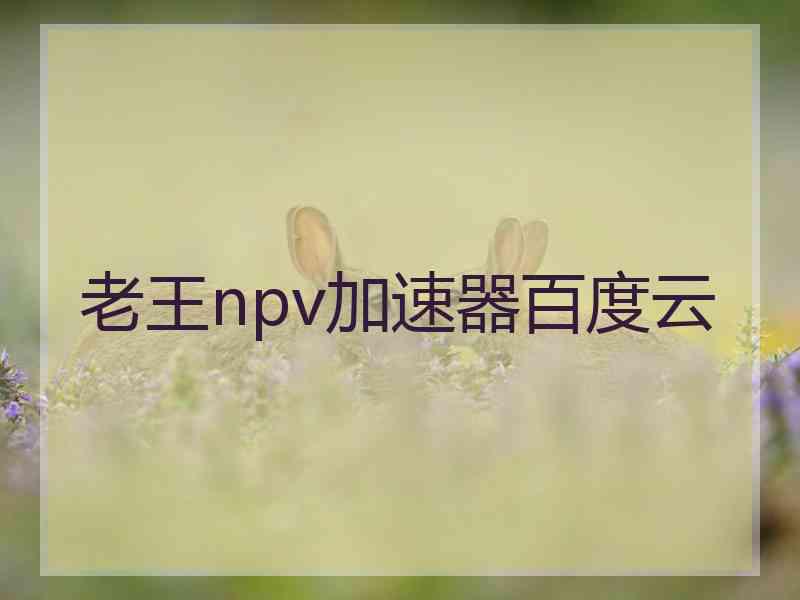 老王npv加速器百度云