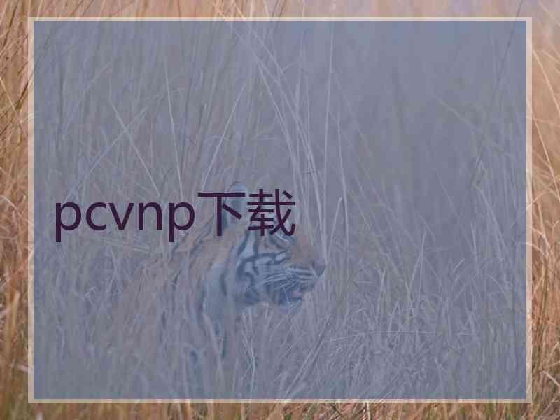 pcvnp下载