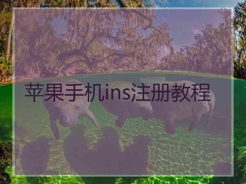 苹果手机ins注册教程
